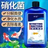 Purificação de Água de Aquário Bactérias Nitrificantes Aquário Turvo Suprimentos para Aquário Suprimentos para Aquário Tanque de Ar Bactérias Vivas Nitrificantes Piscicultura