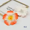 Chapéu de Palha de Férias Flor de Hibisco Decoração Flor na Cabeça Flor de Hibisco Estilo Havaiano Sessão de Fotos na Beira-Mar Adorno de Cabeça Arranjo de Flores