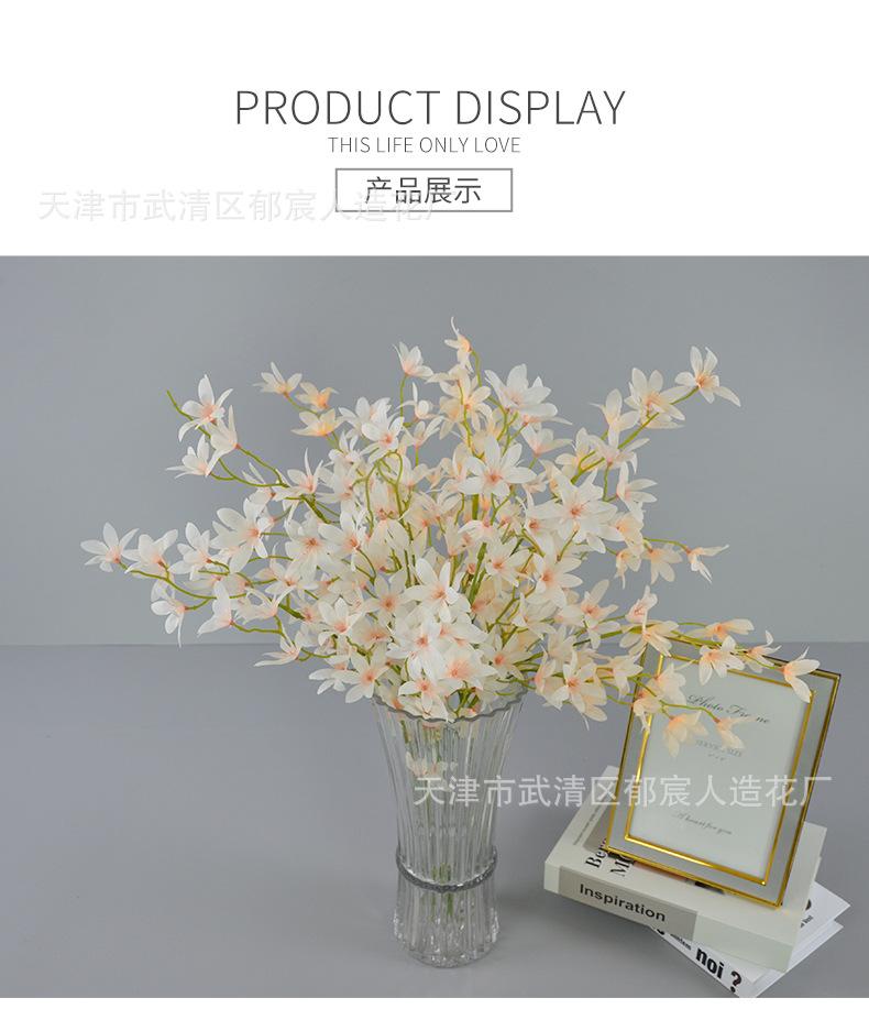 详情_12.png