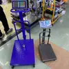Balanza Digital de Plataforma con Barandilla 500/600 kg con Ruedas, Balanza Blindada para Exportación y Almacén de Comercio Exterior, Pesaje y Precios