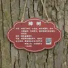 Etiquetas de árvore de aço inoxidável feitas sob medida, etiquetas de nome de plantas, placas de identificação de flores e gramíneas, e descrições de árvores para campi, locais cênicos e parques.