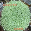 Explosiones en vivo de celebridades de internet 2-3 mm pequeño lirio del valle con agujeros acrílico flores pequeñas pulsera pendientes DIY hechos a mano cuentas tejidas