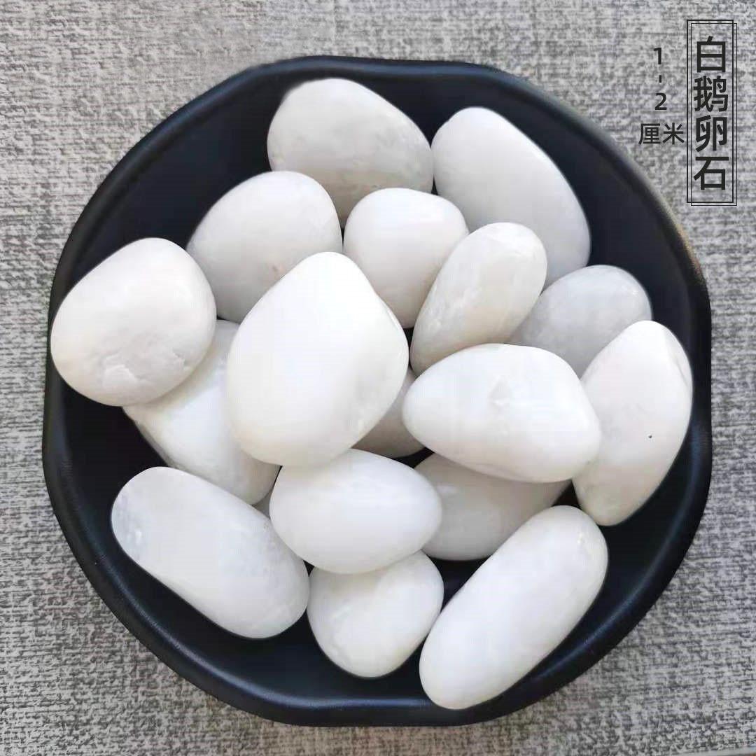 精品白1-2,厘米1700元出厂图