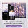 Comercio Exterior Transfronterizo Mejisoo Aceite Esencial de Aromaterapia Soluble en Agua Interior Hotel Aire Fresco Humidificador Fragancia Especial