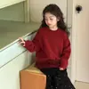Suéter Vermelho Menina Peixinho Vermelho Roupa de Ano Novo 2026 Primavera e Outono Roupas de Ano Novo Infantis Ano do Zodíaco Suéter de Tricô Combinando Pai e Filho