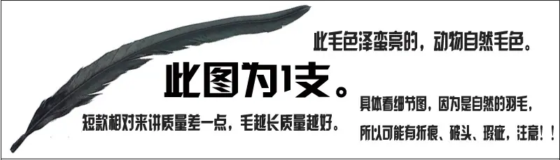 未DDD标题-7副本