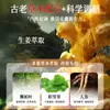 Auténtico Shampoo Nanjing Tongrentang Hoja de Platycladus Jengibre Cabello Grueso Planta Handa Anticaída del Cabello Antirotura Fortalecedor Relleno del Cabello