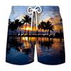 Pantalones de playa deportivos de ocio para hombre, venta al por mayor, impresión digital 3D, para vacaciones de verano en la playa, 2023