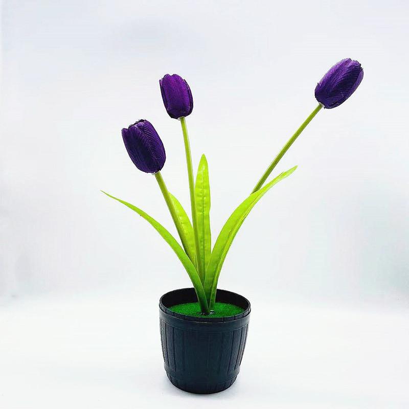 微信图片_20211001170551_副本