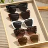 Gafas de sol de estilo popular europeo y americano transfronterizas, montura grande ojo de gato, patillas huecas de moda, montura cuadrada grande