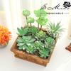 004 Cabeza de Flor de Planta Suculenta Verde Afelpada Suministros Creativos para Bricolaje Accesorios para Colgar en la Pared Decoración de Flores para el Hogar Planta Verde Shangyi
