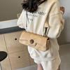 Bolso de Diseño Único de Nicho 2024 Nuevo Bolso de Mujer Popular Color en Contraste Bolso de Hombro Individual Bolso Sobaco Versátil Super Caliente Bolso Baguette