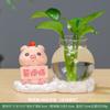 Enfeites Hidropônicos, Não Fique Bravo, Decoração de Mesa para Escritório Estilo Chinês Casa, Vaso de Planta Verde, Pequenos Enfeites de Interior de Alta Qualidade