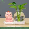Não Fique Bravo Panda Sapo Novo Pothos Vaso Hidropônico Mesa de Sala de Estar Arranjo de Flores Garrafa de Vidro Transparente Pequeno Vaso