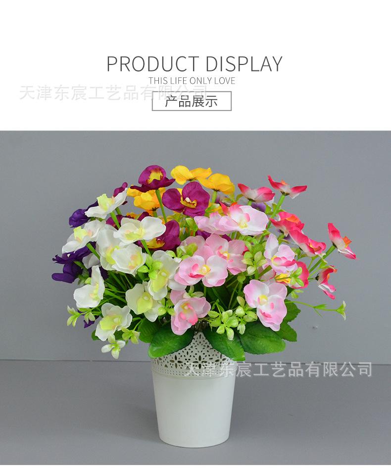 详情_12.png