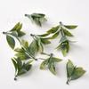 Folhas de Plástico, Folha Persa, Grama Cauda de Fênix, Acessórios para Buquê de Noiva, Flores Artificiais de Plantas e Plantas Aquáticas para Arranjo de Cenário