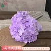 Flor de Simulación Transfronteriza 5 Cabezas Hortensia Boda Francesa Hortensia Grande Bola de Flores Decorativa Tienda Ventana Apertura Festival de Bodas Flor Artificial