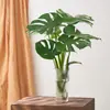 Planta de Monstera Hidropônica em Vaso com Folhas Grandes para Sala de Estar Interna ou Mesa de Escritório, Fácil de Cuidar em Todas as Estações Bonsai