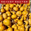 [Barato] Natural Wenwan Cabacinho Levemente Defeituoso Couro Roxo Cabacinho Gordo Envolto no Dedo Macio Pequeno Cabacinho Peça de Mão Venda por Atacado