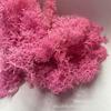 Yongsheng musgo de rena atacado direto da fábrica feito à mão diy decoração de casa presente confecção de flores cobertura de vidro
