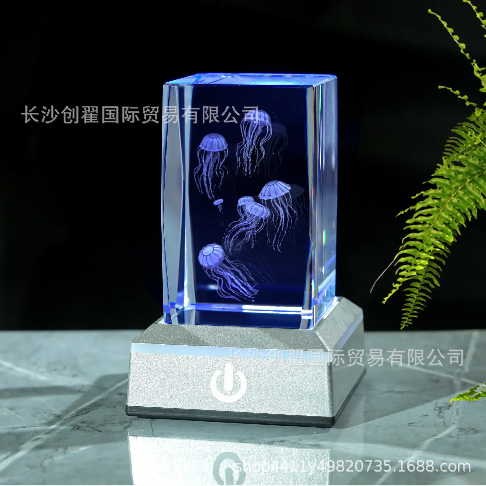 水母_08.jpg
