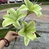 Fabricante de Flores Artificiales para Bodas Verdes Hortensia Verde Rosa Rocío de Golondrina Loto Bola de Cebolla Decoración Suave para Bodas Flor Artificial al por Mayor