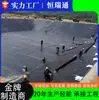 Geomembrana de polietileno de alta densidade hdpe reservatório lago de armazenamento de água campo de cinzas lago de dissolução túnel biodigestor de biogás membrana de controle de infiltração