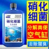 Bacterias Nitrificantes para Acuarios, Usadas en China y Estados Unidos, Son un Producto para la Cría de Peces que Descompone Excrementos y Elimina Olores a Pescado, un Purificador de Agua de Acuario Producido en Fábrica