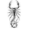 Artículos Populares Transfronterizos: Tigre Oscuro Audaz, Pez, Águila, Marcas de Rasguño de Escorpión, León Animal Pegatinas de Tatuaje Temporal