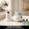 Linda piedra difusora de gatito para uso doméstico interior de larga duración, piedra aromática de cristal de alta calidad para aceites esenciales, decoración para dormitorio, habitación y sala de estar