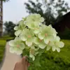 Pequeño Ramo de Begonias para Decoración de Hotel de Bodas, Accesorios de Fotografía, Decoraciones de Mesa para Sala de Estar, Flores Artificiales al por Mayor