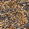 Comederos para pájaros para paisajismo exterior, Alimento para pájaros para bosques, Comederos automáticos colgantes para pájaros, Impermeables, Al por mayor, Otros
