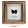 Marco de Fotos con Foto de Mariposa Real Pintura Decorativa Estilo Europeo Marco de Fotos Vintage Decoración de Mesa Adorno para Muebles Regalo de Cumpleaños Presente