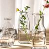 Estilo Ins Florero de Vidrio Transparente Creativo para el Hogar Interior Flores y Plantas Hidropónicas Decoración de Escritorio Venta al por Mayor