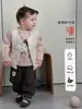 Conjunto de Otoño-Invierno para Niña 2026 Nueva Moda Coreana Chaleco Ligero de Plumas para Bebé Suéter Versátil para Niña Conjunto de Tres Piezas