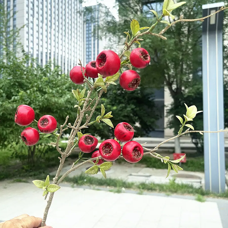 15头山楂果-红色.JPG