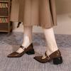 Sapatos Pointy Franceses Femininos 2025 Primavera Novos Elegantes Pretos Salto Grosso com Mary Jane Simples Versátil Sapato de Camada Única