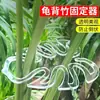Suporte para Costela de Adão Suporte para Monstera Estrutura de suporte para flores Clipe de fechamento de galhos Fixação de galhos e caules Fixação de flores em bambu verde