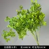 Plantas Verdes, Hierba de Junco, Hierba Bigote de Dragón, Fondo de Boda, Paisajismo de Ventana Floral, Flores Decorativas para Boda en Bosque Blanco y Verde