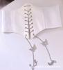 Sello de cintura elástico elástico europeo y americano para mujer, cadena de mariposa versátil, estilo coreano, decorativo, abrigo de traje, cinturón ancho, cintura, ropa exterior