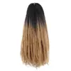 Extensiones de Cabello de Gancho Manual Caterpillar de 18" 26 Raíces Dobladas por la Mitad 52 Raíces Extensiones de Cabello de Gancho Manual Caterpillar Peluca de Fibra Química Caterpillar
