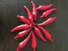 Pimiento artificial plástico plástico pimiento impermeable pvc protección ambiental disparo simulación fruta y verdura granja adornos de frutas