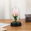 Luz Nocturna de Flor Eterna Transfronteriza con Cubierta Acrílica para Dormitorio Mesita de Noche Adornos de Rosa Regalo de San Valentín Cumpleaños