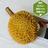 Estrictamente elegir al por mayor plástico falso oro almohada Rey de la Montaña Gato modelo de carne de durian decoración de escaparate de frutería adornos simulación de durian