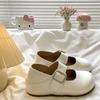 Sapatos Mary Jane Prateados Vintage para Mulheres, Novo Estilo Verão 2026, Aumento de Altura Escondido, Sapatos de Solado Grosso Estilo Birkenstock, Tamancos de Bico Fechado Dupla Utilização