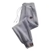 Pantalones de hombre transfronterizos 2026 otoño e invierno nuevo estilo holgados casuales largos con forro polar, de pierna recta con puño, pantalones de chándal para hombre