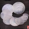 Piezas Redondas de Concha Natural Accesorios de Decoración de Bodas Cortina de Campanas de Viento Cortina de Puerta Piezas Redondas de Concha Fritillary Piezas Pintura de Concha Iluminación