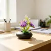 Venta Caliente Transfronteriza Tres Crisantemos de Caballero Maceta Plana Pequeña Planta en Maceta Adorno Hogar Dormitorio Decoración de Escritorio Flor Artificial Pequeño Arreglo de Bonsái