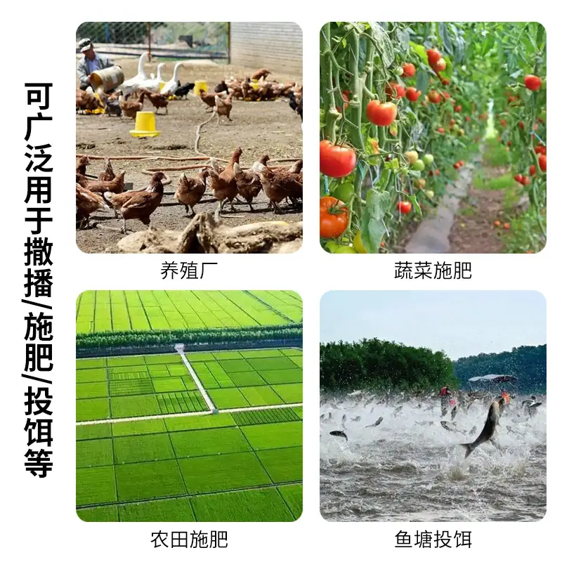 主图4.jpg