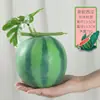 Melancia Artificial Melancia Falsa Modelo de Fruta Brinquedo Adereço Black Beauty Melão Kirin Melancia Grande Decoração de Loja de Frutas